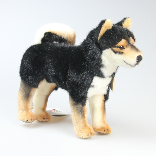 kosen-shibainu-kuro