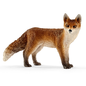 SC-fox