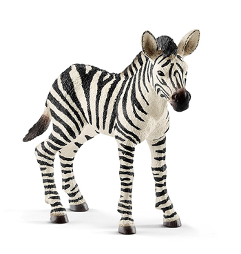 zebra_2