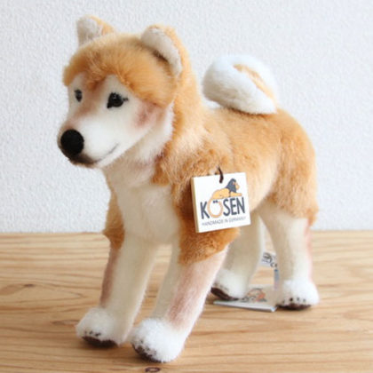 kosen-shibainu-tachi