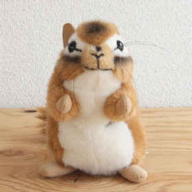 ケーセン シマリス