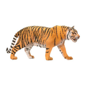 SC-tiger