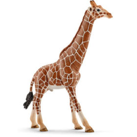 SC-giraff