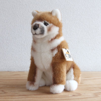 kosen-shibainu-ko