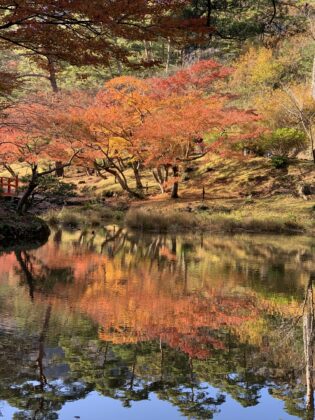 逆さ紅葉