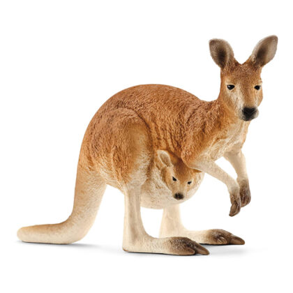 SC-kangaroo