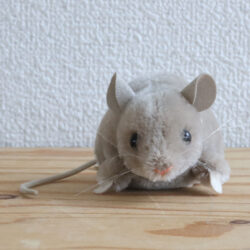 みんみん CYAN TOKYO シアントーキョー トリミング ドルマン V ブラウス