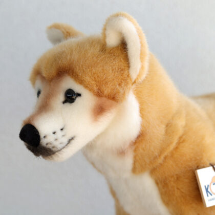 kosen-shibainu-l