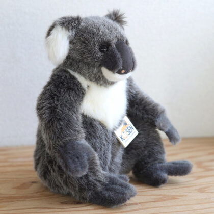 kosen-koala