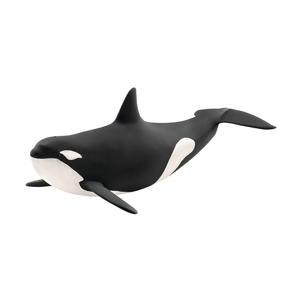 SC-Orca