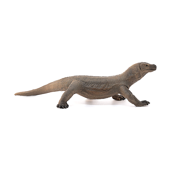 SC-Komododragon