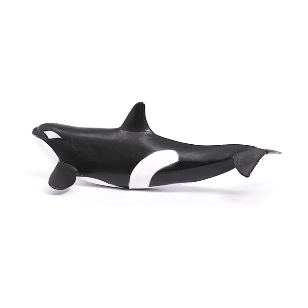 SC-Orca