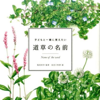 kodomoto-book-Michikusa