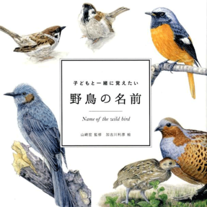 kodomoto-book-Yacho
