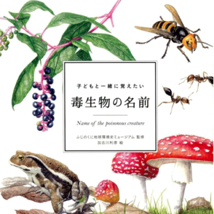 kodomoto-book-Doku