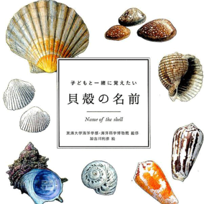 kodomoto-book-Kai