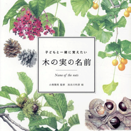 kodomoto-book-Kinomi