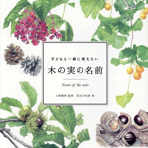 kodomoto-book-Kinomi