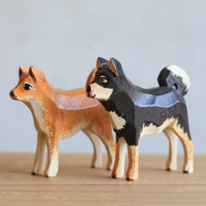 shibainu-werner