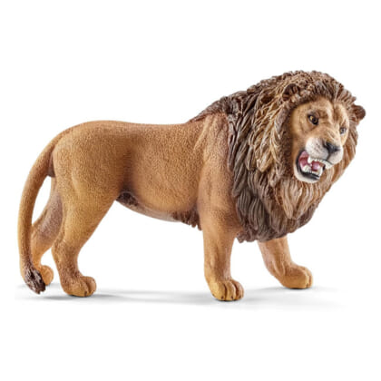 SC-lion