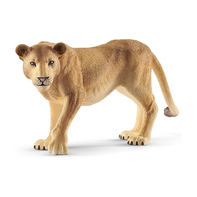 SC-lion