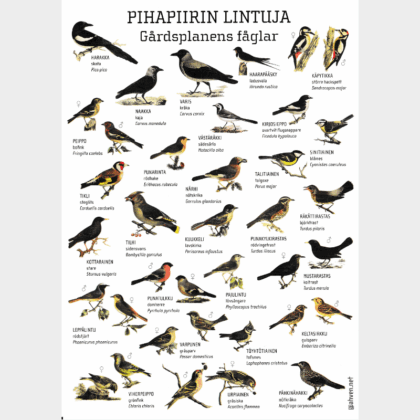 A4PIHAPIIRIN