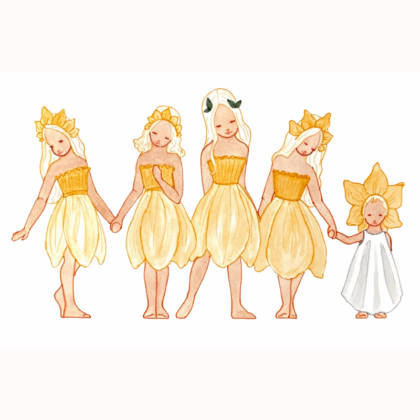 THT-Daffodil