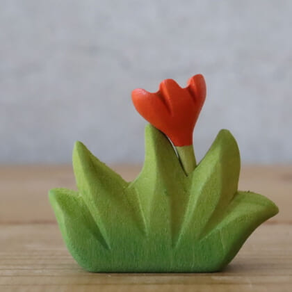 orangeblomstlittle