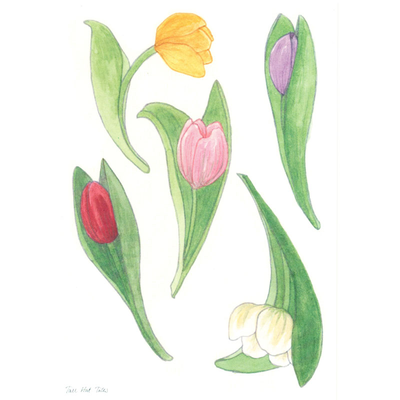 THT-TULIP